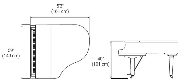 GC1SH3 Pol Ebony-2.jpg